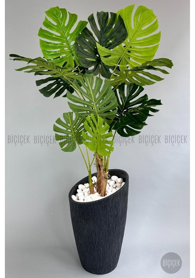 Yapay Monstera Ağacı Deve Tabani 190 Cm Antresi T Datça Saksıda Antresit