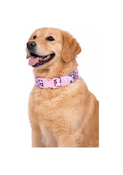 Swissplus Urban Paws Pink Leo Recycled Köpek Tasması - 20 Mm Beyaz - Pembe