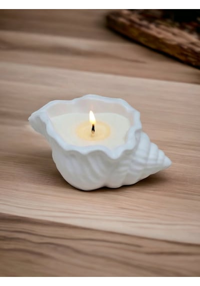 Bernami Biblo Pinterest Dekoratif Istiridye Kasede Mum Deniz Kabuğu Obje