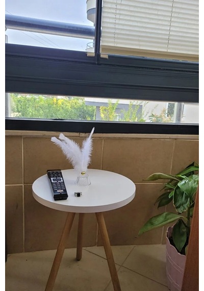 Tekli Yan Sehpa Çiçeklik Saksılık Standı Dekoratif Yan Sehpa Seti Ahşap Ayaklı 33 Cm Çap - Beyaz Beyaz