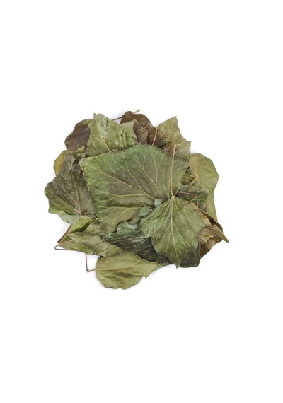 Derya Eren Sarmaşık Yaprağı Hedera Semen 100 G