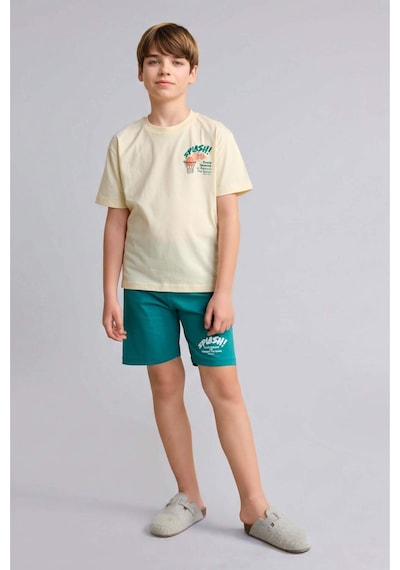 Defacto Baskılı Tişört Şort Pijama Takımı Erkek Çocuk H8195a826hsyl240 Sarı-yl240