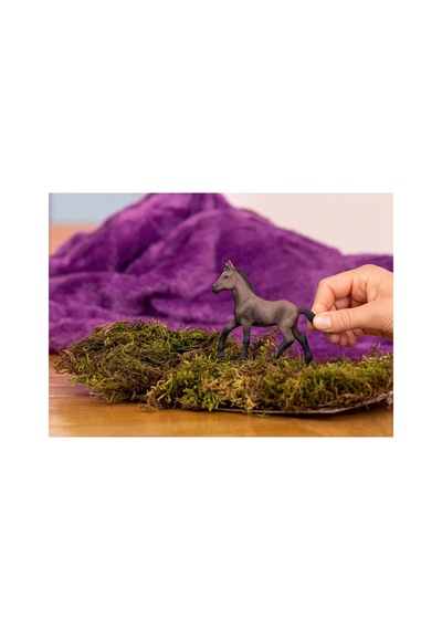 Schleich Paso Peruano Tayı 13954