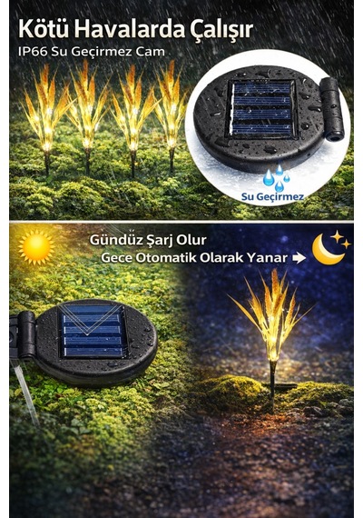 Solar Bahçe Lambası Led Dekoratif Çiçek Aydınlatma Dış Mekan Başak