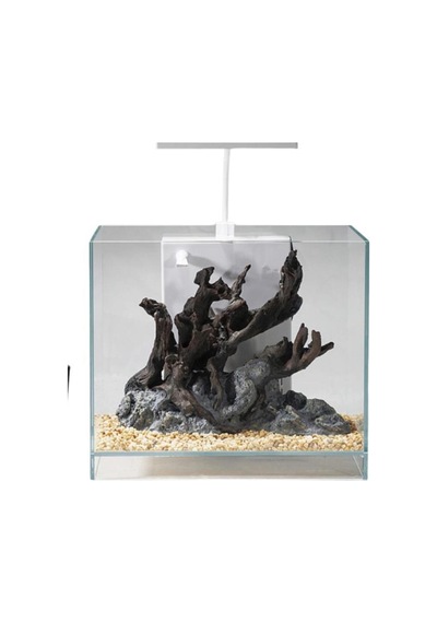 Jeneca Zj-40 Akvaryum+dekor 40x30x30 Cm 36l