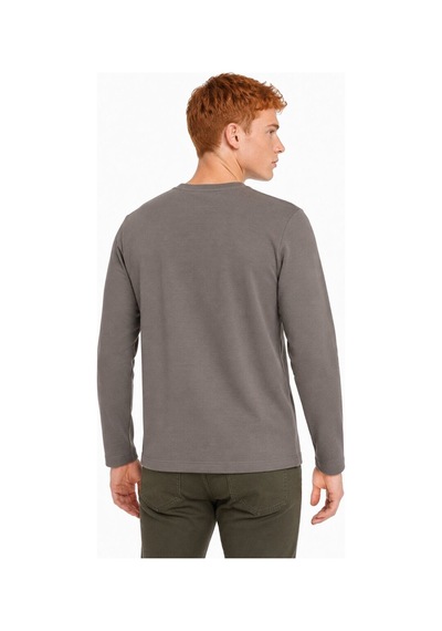Loft Regular Fit Erkek Tshirt U.kol Lf2044268 Q1.v1 Vizon