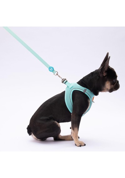 Pawstar Mint Leash Kedi Köpek Sevk & Gezdirme Kayışı Köpek Uzatma Tasması Mint