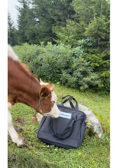 Bravon Outdoor 21 Litre Kamp - Mangal Çantası Körüklü 3 Bölme Ve Astarlı Siyah