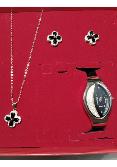 Hediyelik Kadın Oval Taşlı Saat Ve Kolye+küpe 4li Takı Seti, Rose Gold