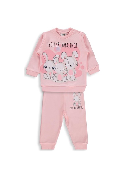Civil Baby Tavşanlar Baskılı 6-18 Ay Takım - Pudra Somon