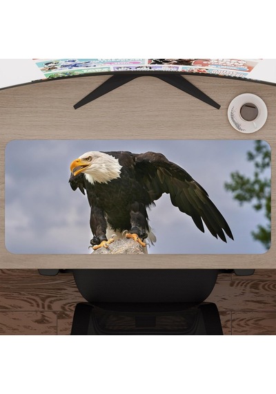 Kartal Oyuncu Gaming Mouse Pad Kauçuk Kaymaz Taban Mousepad V2, 70x30 Xl