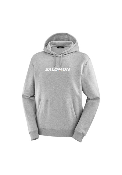 Salomon Salomon Sal Logo Perf Hoodie Erkek Gri Sweatshirt 1009 Gri