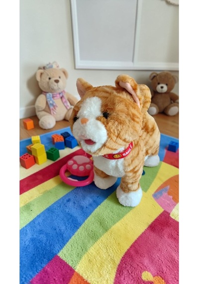 Tasmalı Ses Kayıt Eden Kafa Okşayınca Miyav Kuyruk Salllayan Müzik İile Yürür Büyükboy :30cm Pilli Çok Renkli