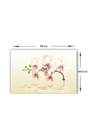 Decorita Krem Orkide | Cam Ocak Arkası Koruyucu | 49,5cm x 76cm