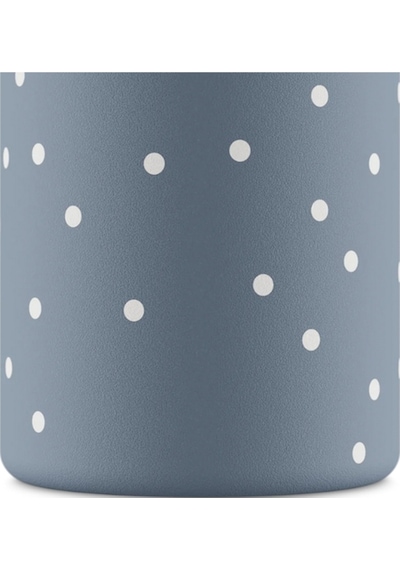 Kids Bottle Happy Penguin Paslanmaz Çelik Çocuk Su Matarası 250 Ml Renkli