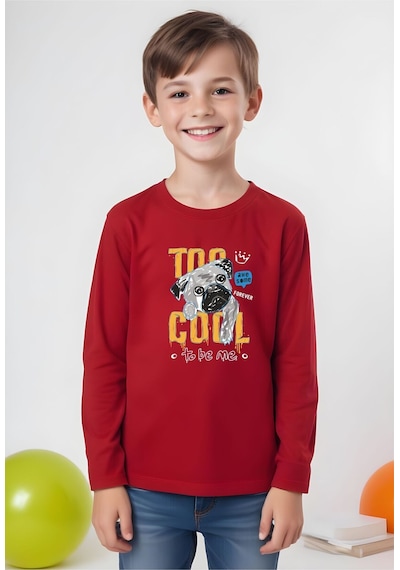 Fyk Kids Erkek Çocuk Bisiklet Yaka 3'lü Basic Sweatshirt Çok Renkli
