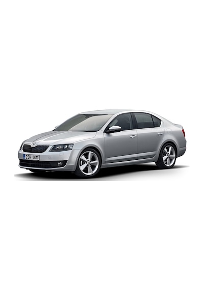Skoda Octavia 3D Paspas+Bagaj Havuz Siyah 2013-2019 Arası Rizline N11.13404