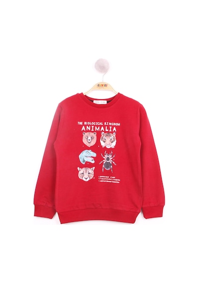 Toontoy Kids Toontoy Erkek Çocuk Hayvan Baskılı Sweatshirt Bordo