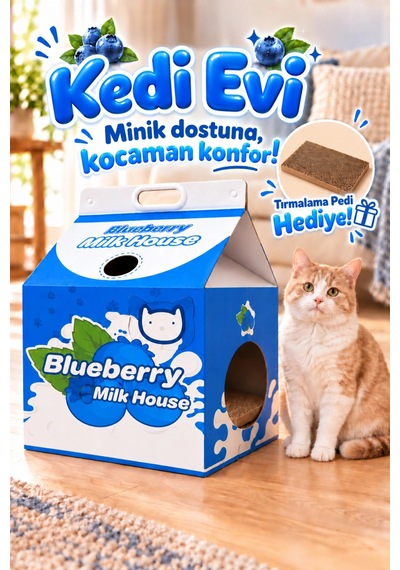 Karton Kedi Evi Yaban Mersini Katlanabilir Süt Kutusu Tasarımı, Tırmalama Pedi Hediyeli Sempatik K