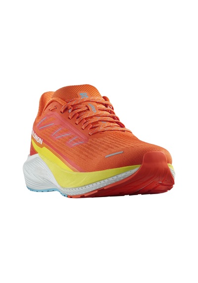 Salomon Salomon Aero Blaze 2 Erkek Yol Koşusu Ayakkabısı 4531 Çok Renkli