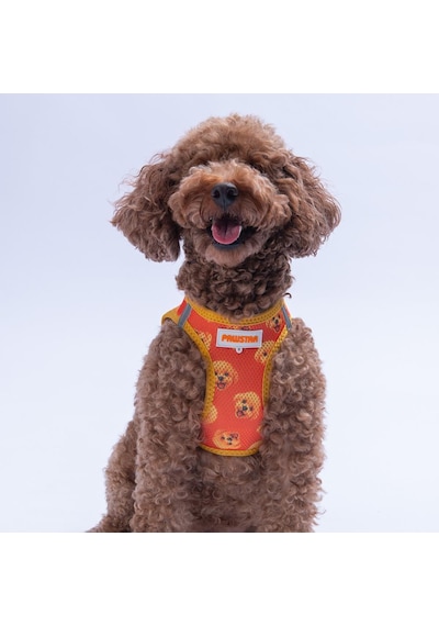 Poodle Air-mesh Göğüs Tasması Kedi Köpek Göğüs Tasması Turuncu