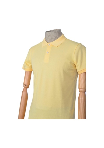 Cengiz İnler Polo Yaka Düz T-Shirt Slim (548482330)