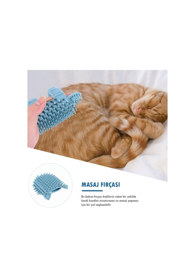 Teknetstore Evcil Hayvan Tüy Toplama Eldiveni & Kedi Köpek Silikon Masaj Tarağı 2'li Set