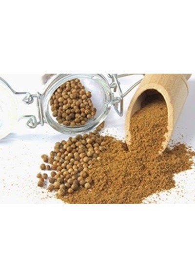 Gupguru Toz Kişniş 1 Kg