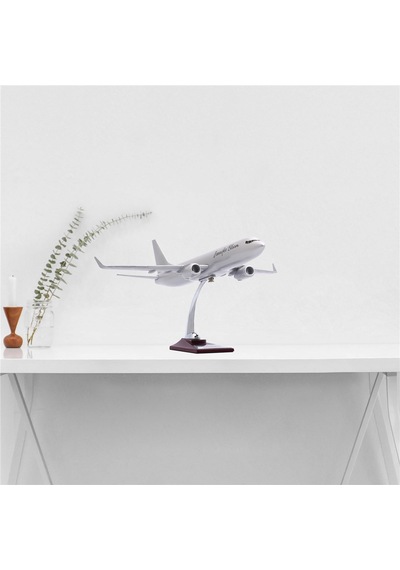 Zekupp - Maket Uçak - Boeing 737-800 1/100 - GÜMÜŞ RENK ÖZEL TASARIM Model Uçak