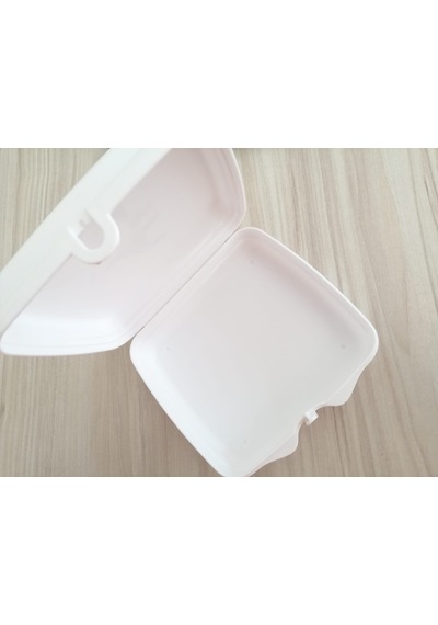 Tupperware Beslenme Cüzdanı Sihirbaz Baskılı Çok Renkli