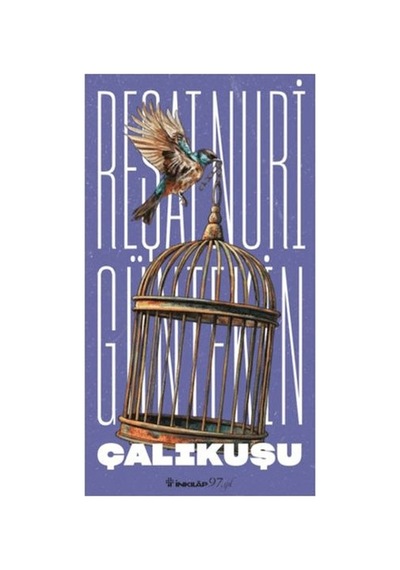 Çalıkuşu Yeni Kapak - Ezjı-651380