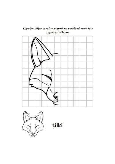 Çocuklar İçin Simetri Eğitim Kitabı Simetri Öğreten Kitap
