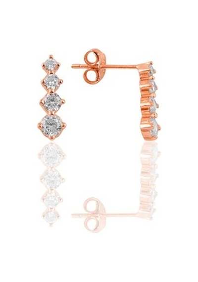 Gümüş Rose Zirkon Taşlı Işıltılı Ikili Set