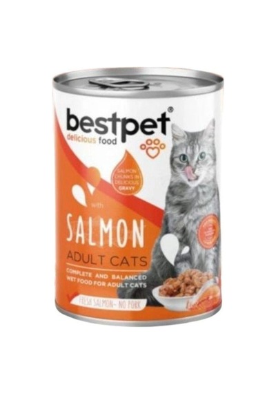 Bestpet Somonlu Yetişkin Kedi Konservesi 400 Gr