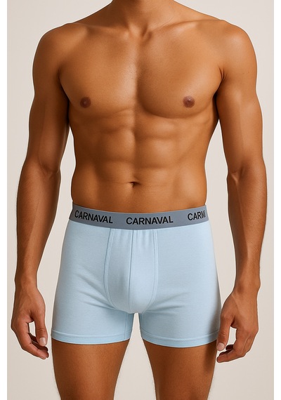 Carnaval Socks Erkek Boxer 5 Li Set Carnaval Cloud Blue Çoklu