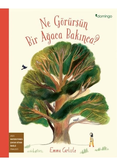 Ne Görürsün Bir Ağaca Bakınca? - Emma Carlisle - Domingo Yayınevi