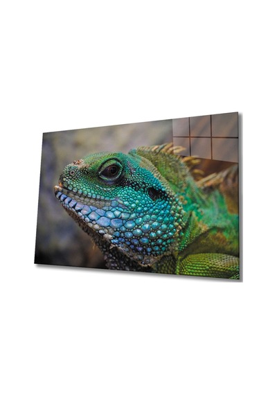 İguana Cam Tablo Evlika