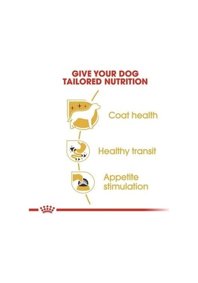 Royal Canin Adult Chihuahua Yetişkin Köpek Pouch Konserve 12 X 85 Gr