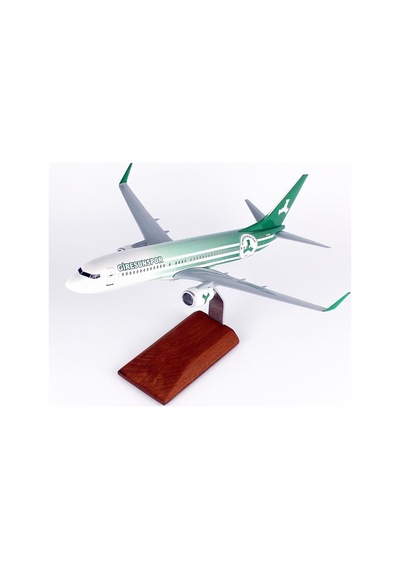 Thy002 1/100 Ölçek, Thy Giresun Spor Logolu B737-800 Yolcu Uçağı, Sergilemeye Hazır Ahşap Standlı Model-56256