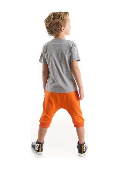Denokids Yo Kaplan Erkek Çocuk T-Shirt Kapri Takım Çok Renkli