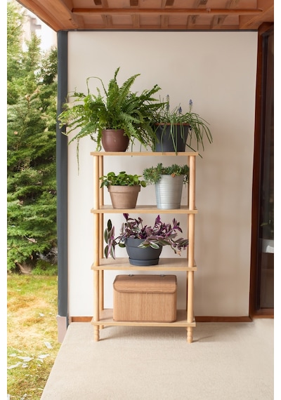 Concept 3 Raflı Organizer Balkon Banyo Kitaplık Mutfak Dolabı Ofis Düzenleyici Ahşap Nature