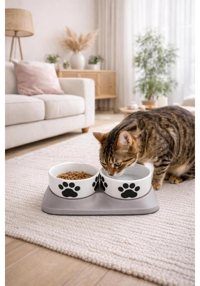 Premium Yükseltilmiş İkili Seramik Kedi Mama Ve Su Kabı