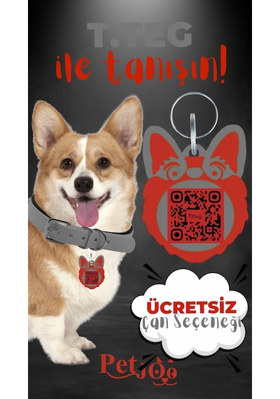Petjoo 15.T.Teg Kırmızı-Gri Qr'lı Köpek Künyesi