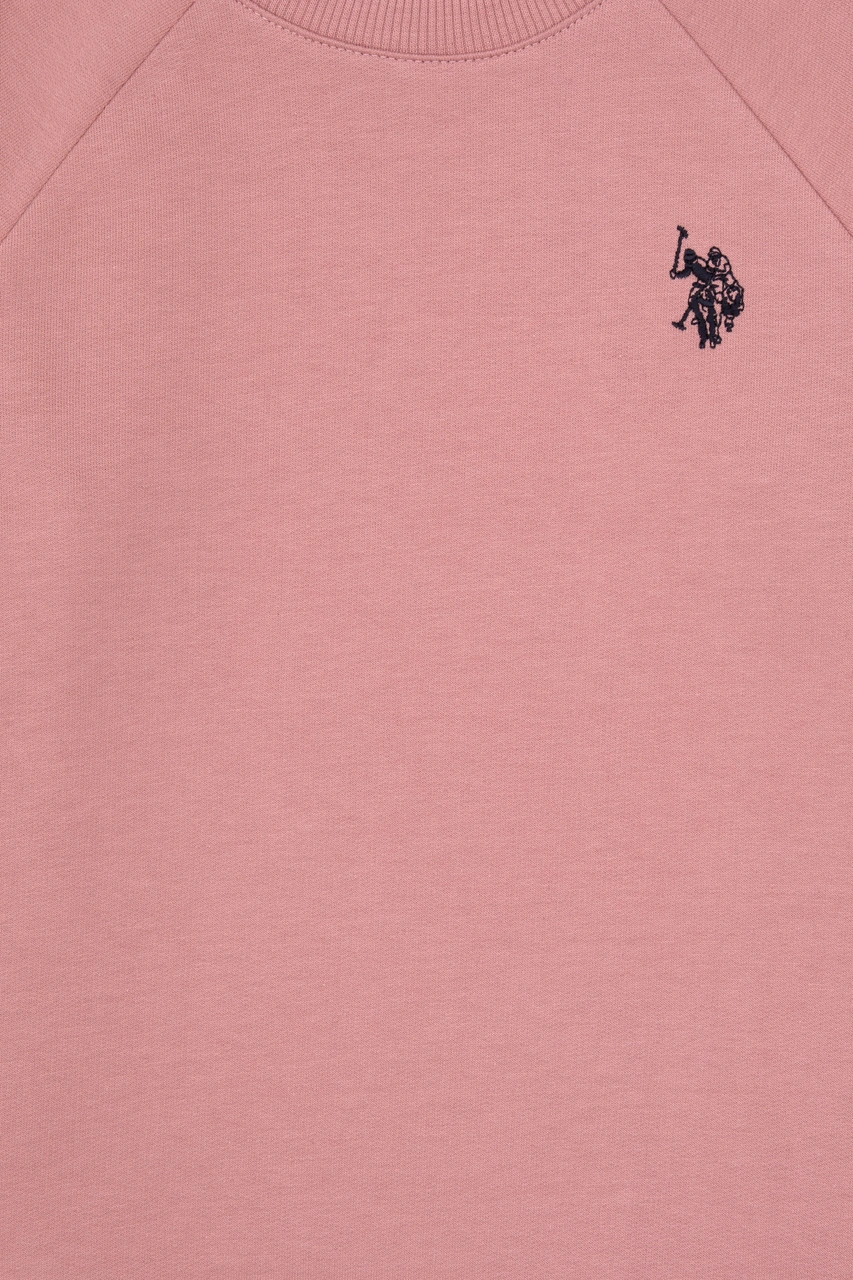 U.S. Polo Assn. Erkek Çocuk Orkide Basic Bisiklet Yaka Sweatshirt 50313832-VR221