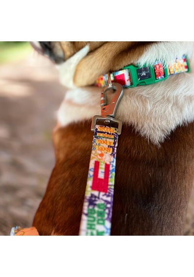 Design Köpek Gezdirme Kayışı Geri Dönüştürülmüş, Kadifemsi Dokulu, Çift Kilitli Karabina Kanc