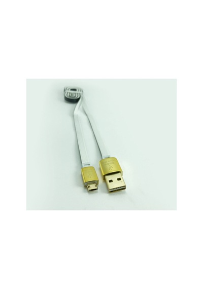 Blueinter Samsung Uyumlu Altın Uçlu Usb Kablosu