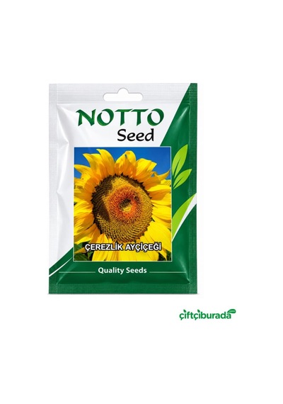 Notto Seed Çerezlik Ayçiçeği Tohumu 25 G