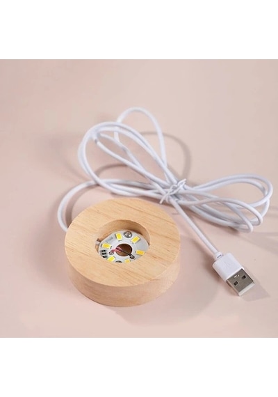 Ahşap Altlıklı Usb'li Işıklı Cam Küre Çok Renkli