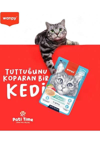 12li Yetişkin Kedi Yaş Maması Ton Balığı & Karides Premium Kalite 12 X 70 Gr