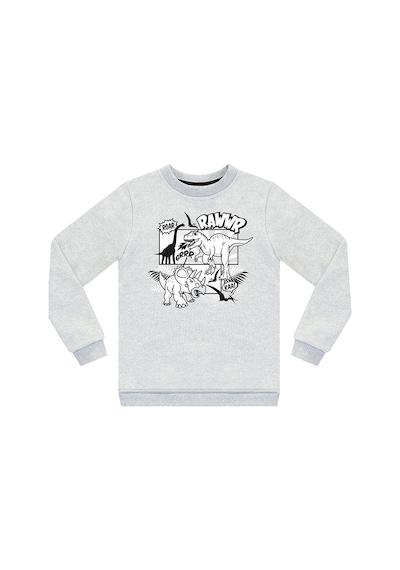 Denokids Rawr Dino Erkek Çocuk Sweatshirt -  Gri Melanj